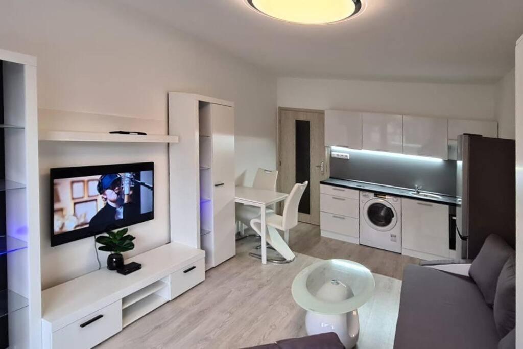 Útulný apartmán v centru, s krásným výhledem Decin Exteriér fotografie