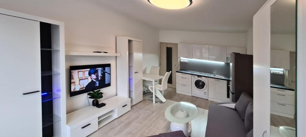 Útulný apartmán v centru, s krásným výhledem Decin Exteriér fotografie