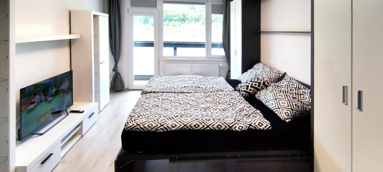 Útulný apartmán v centru, s krásným výhledem Decin Exteriér fotografie