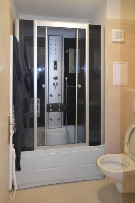 Útulný apartmán v centru, s krásným výhledem Decin Exteriér fotografie