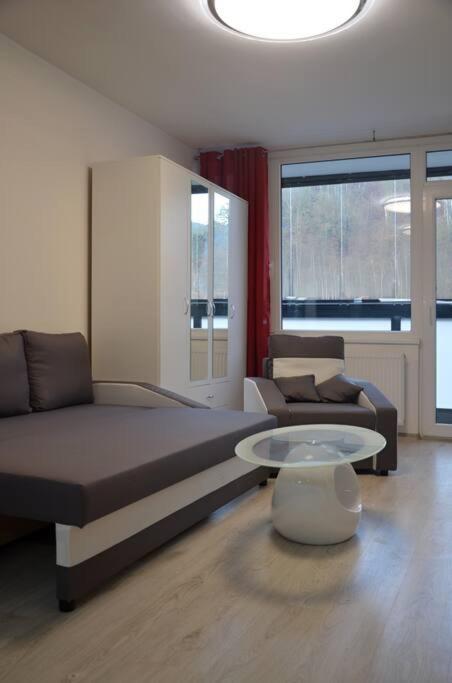 Útulný apartmán v centru, s krásným výhledem Decin Exteriér fotografie