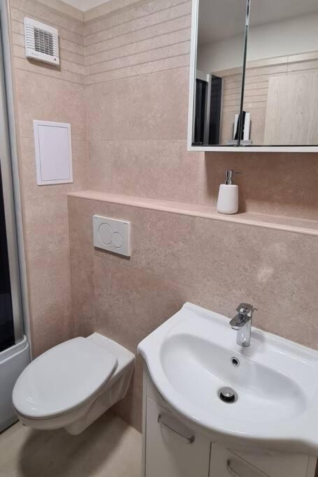 Útulný apartmán v centru, s krásným výhledem Decin Exteriér fotografie