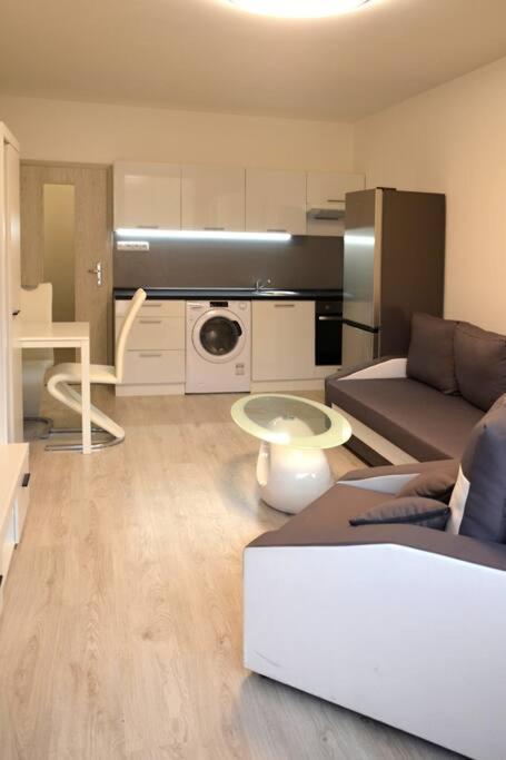 Útulný apartmán v centru, s krásným výhledem Decin Exteriér fotografie