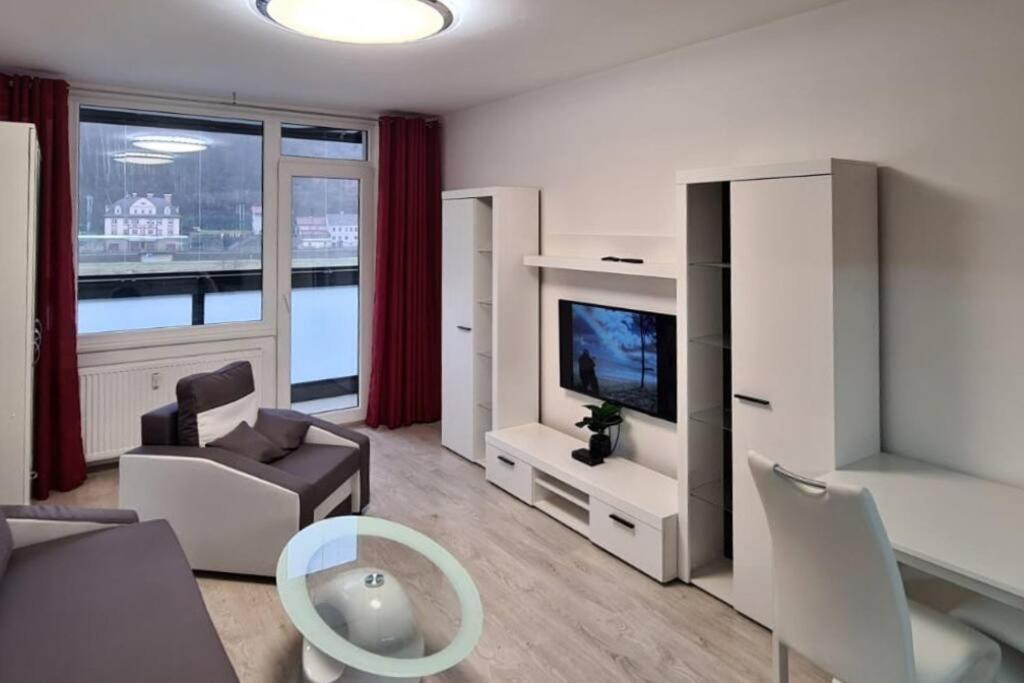 Útulný apartmán v centru, s krásným výhledem Decin Exteriér fotografie