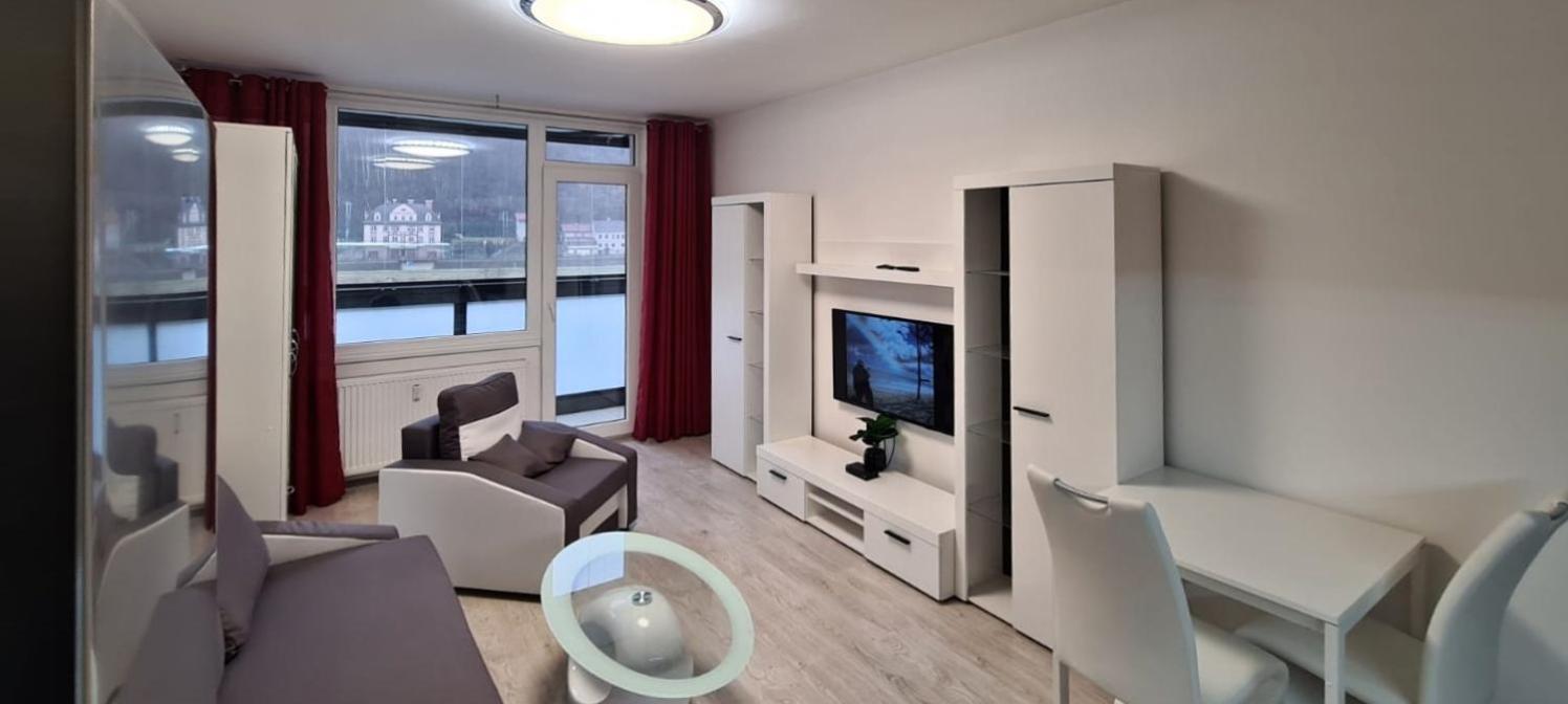 Útulný apartmán v centru, s krásným výhledem Decin Exteriér fotografie